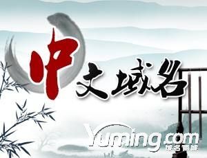電商第一步注冊.商城中文域名，擺脫第三方束縛