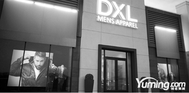 服飾終端783萬高價收購品牌三聲母域名DXL.com