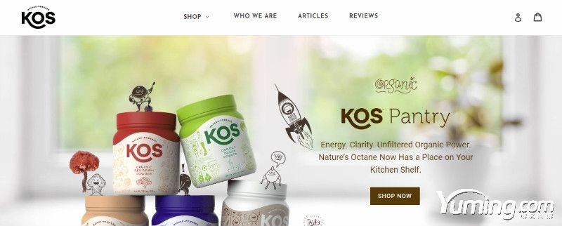 終端升級品牌收購三字母域名KOS.com