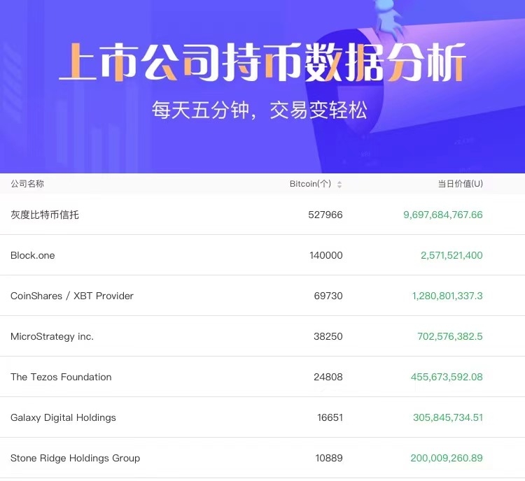 比特幣暴漲，全球持幣最多的公司都在用什么域名?