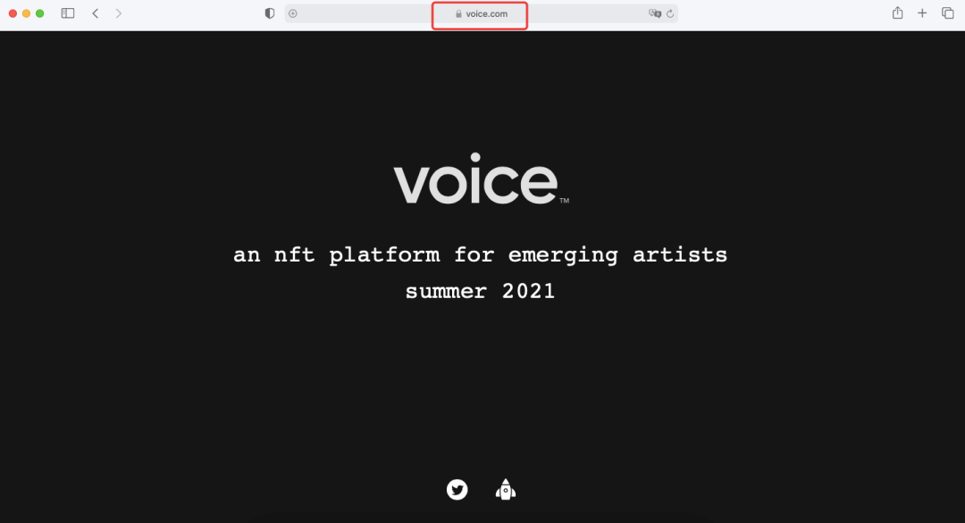 重磅！天價域名Voice.com進(jìn)軍NFT,抓住下一個風(fēng)口！