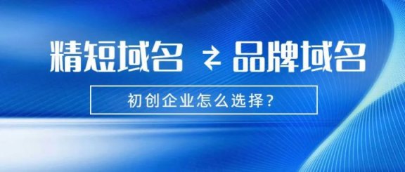 16.初創企業是應該考慮簡短精品域名還是自身品牌域名201.jpg