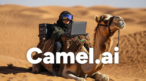 創始人因未能獲取Camel.ai域名而感到沮喪