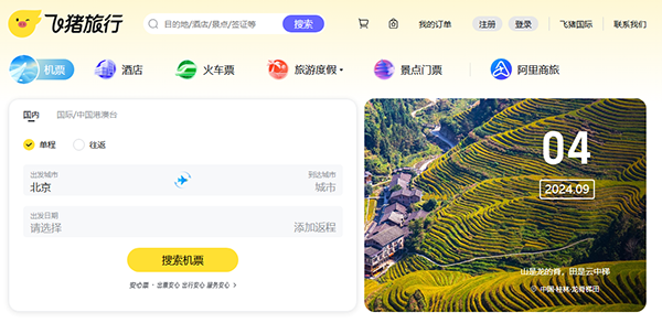 阿里巴巴收購飛豬系列域名，保護品牌域名