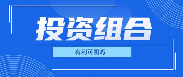 擁有大量投資組合真的有利可圖嗎？