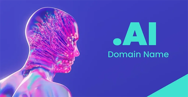 安圭拉.ai 域名：兩月激增 4 萬，開啟全新戰略格局