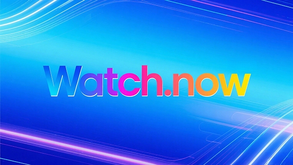 Watch.now以79,988 美元成交，刷新.now后綴記錄