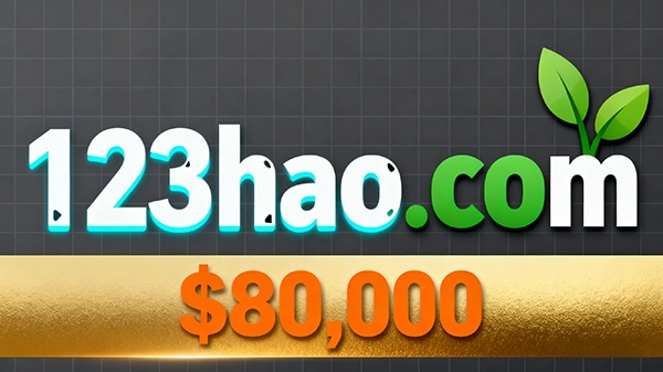 123hao.com 以 8 萬美元成交：數(shù)字+拼音組合展現(xiàn)獨(dú)特價(jià)值