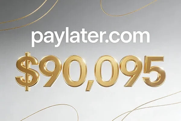 paylater.com以90,095美元落槌，精準貼合BNPL先買后付黃金賽道