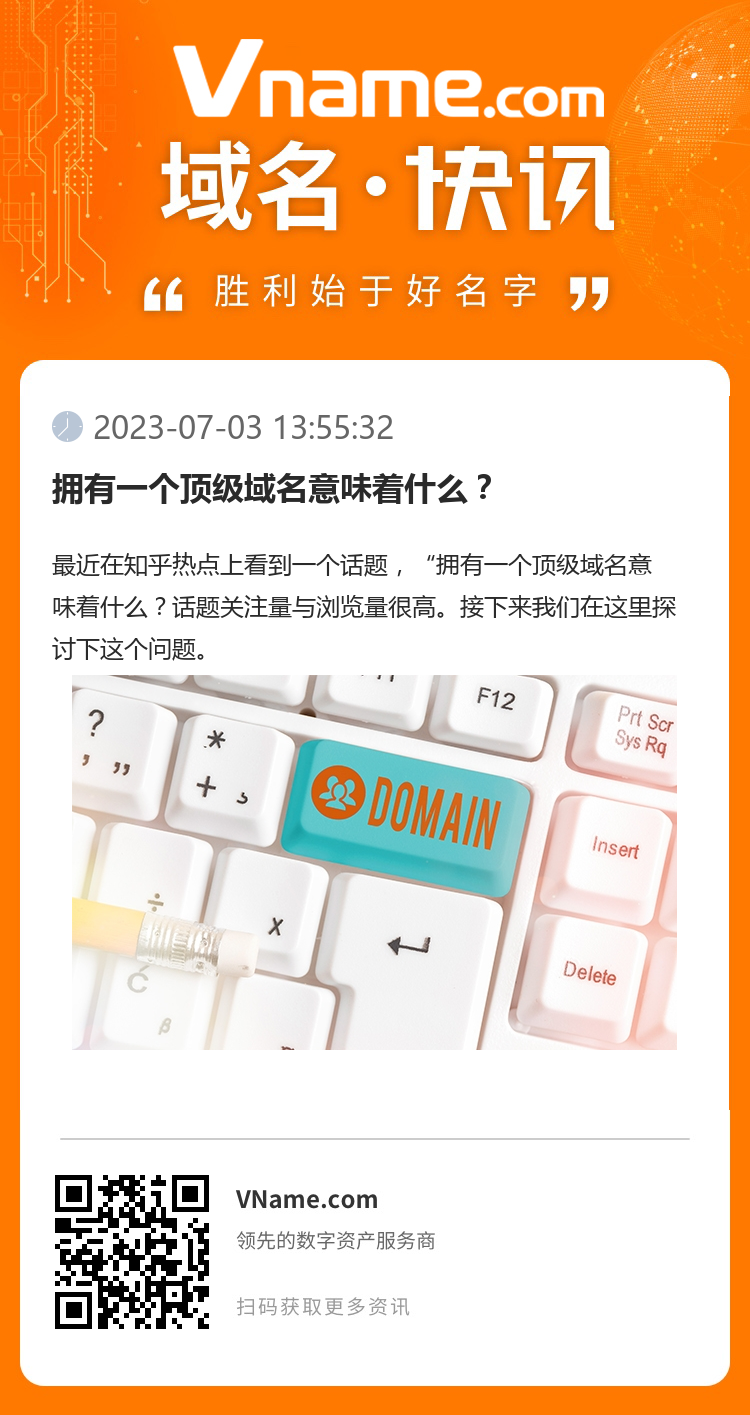 擁有一個頂級域名意味著什么？